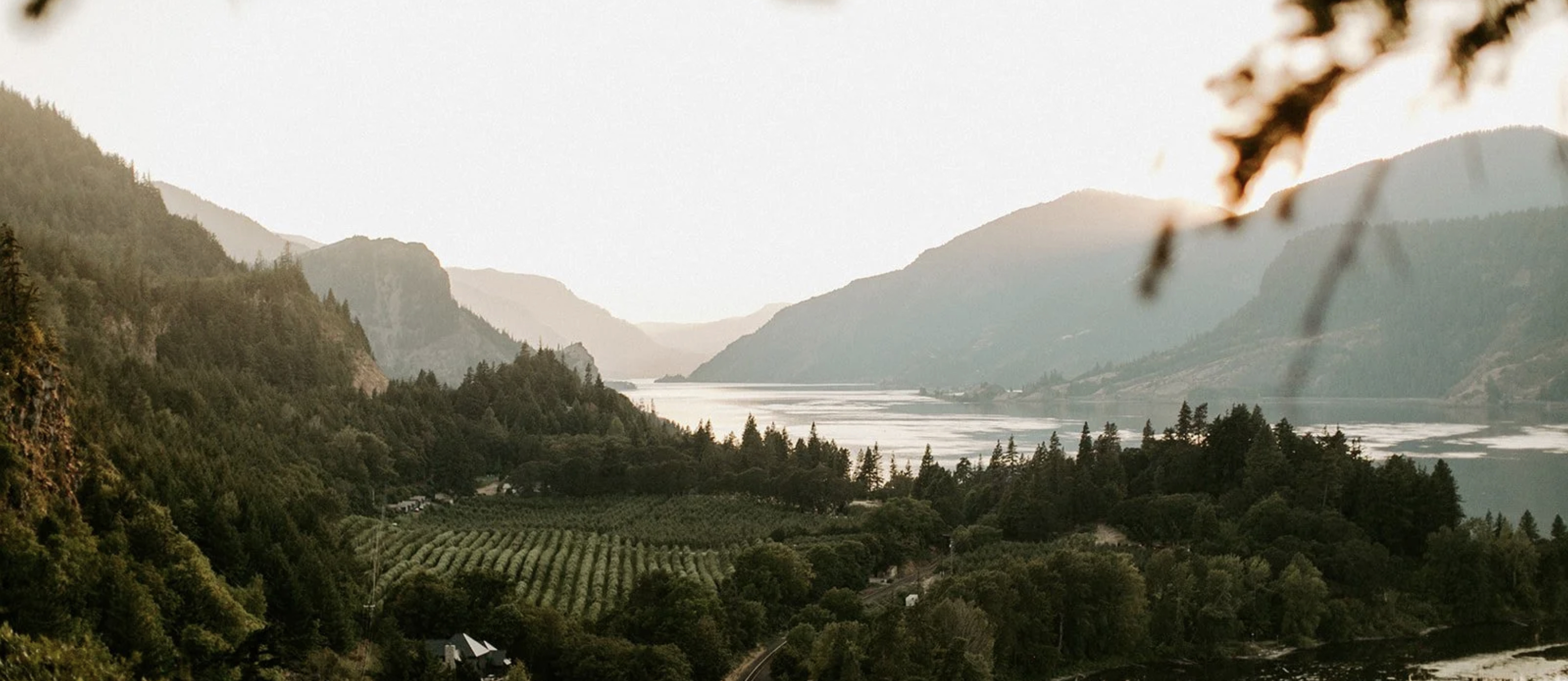 The Griffin House Gorge View